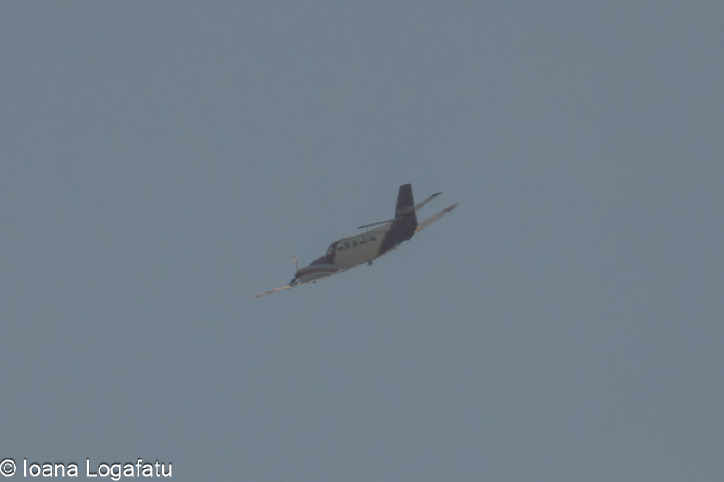Aircraft soaring through a clear sky above